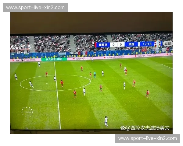 欧洲杯数据：用数字读懂绿茵风云